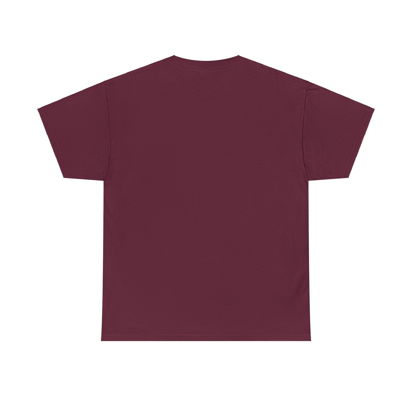 Camiseta Unissex Estampa Branca - Eu Resolvi Seguir O Evangelho